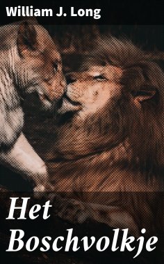 eBook: Het Boschvolkje