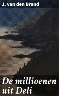 ebook: De millioenen uit Deli
