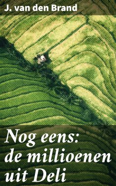 ebook: Nog eens: de millioenen uit Deli