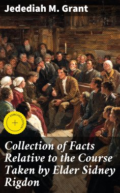 ebook: Collection of Facts Relative to the Course Taken by Elder Sidney Rigdon