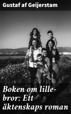 eBook: Boken om lille-bror: Ett äktenskaps roman