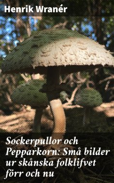 eBook: Sockerpullor och Pepparkorn: Små bilder ur skånska folklifvet förr och nu