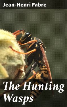 ebook: The Hunting Wasps