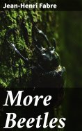 ebook: More Beetles