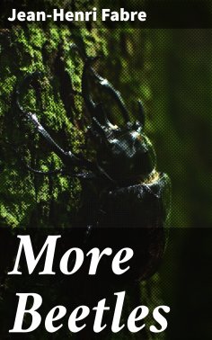 ebook: More Beetles