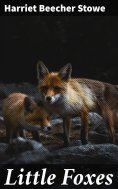 ebook: Little Foxes