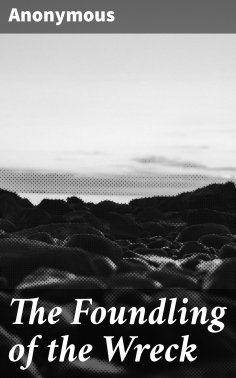 eBook: The Foundling of the Wreck