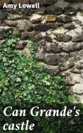 eBook: Can Grande's castle