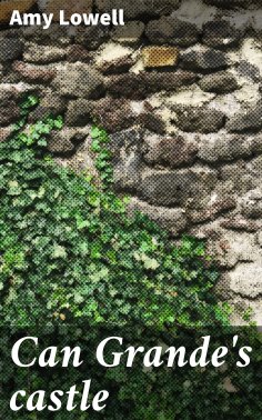 eBook: Can Grande's castle