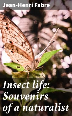 ebook: Insect life: Souvenirs of a naturalist