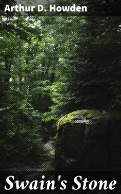ebook: Swain's Stone