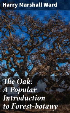 eBook: The Oak: A Popular Introduction to Forest-botany