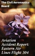 ebook: Aviation Accident Report: Eastern Air Lines Flight 304