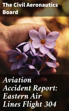 ebook: Aviation Accident Report: Eastern Air Lines Flight 304