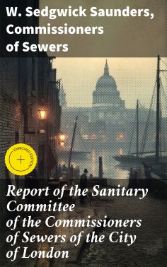 eBook: Report of the Sanitary Committee of the Commissioners of Sewers of the City of London