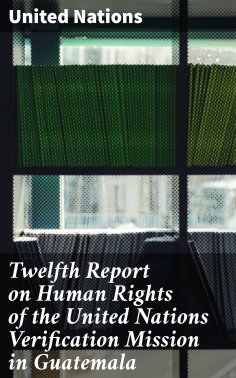 eBook: Twelfth Report on Human Rights of the United Nations Verification Mission in Guatemala