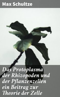 eBook: Das Protoplasma der Rhizopoden und der Pflanzenzellen ein Beitrag zur Theorie der Zelle