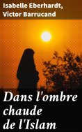 ebook: Dans l'ombre chaude de l'Islam