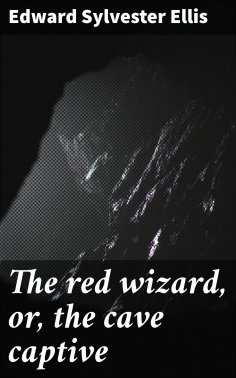 eBook: The red wizard, or, the cave captive