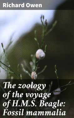 eBook: The zoology of the voyage of H.M.S. Beagle: Fossil mammalia