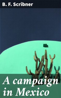 eBook: A campaign in Mexico