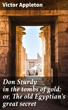 eBook: Don Sturdy in the tombs of gold; or, The old Egyptian's great secret