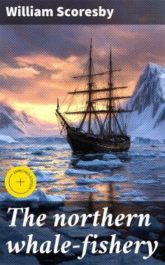 eBook: The northern whale-fishery