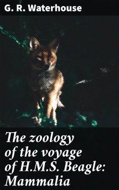 eBook: The zoology of the voyage of H.M.S. Beagle: Mammalia