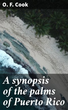 eBook: A synopsis of the palms of Puerto Rico