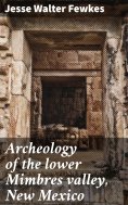 eBook: Archeology of the lower Mimbres valley, New Mexico