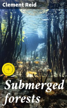 eBook: Submerged forests