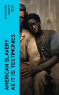 eBook: American Slavery as It is: Testimonies