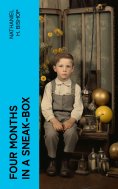 eBook: Four Months in a Sneak-Box