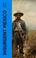 ebook: Insurgent Mexico