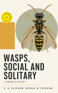 ebook: Wasps, Social and Solitary (Annotated)