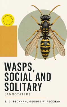 eBook: Wasps, Social and Solitary (Annotated)