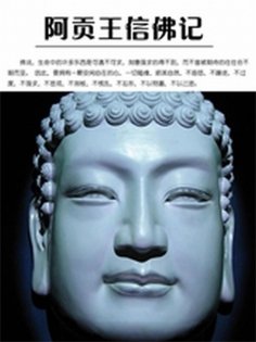 ebook: 阿贡王信佛记