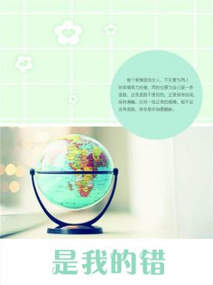 ebook: 是我的错