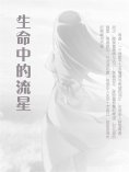 ebook: 生命中的流星
