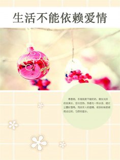 ebook: 生活不能依赖爱情