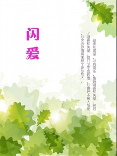 eBook: 闪爱