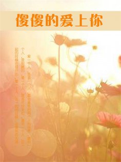 ebook: 傻傻的爱上你