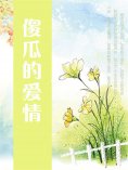 ebook: 傻瓜的爱情