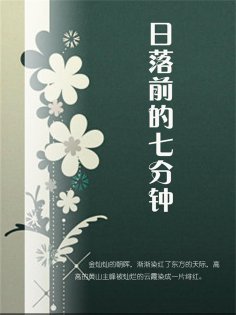 ebook: 日落前的七分钟