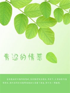 ebook: 青涩的情感