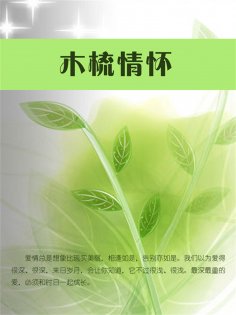 ebook: 木梳情怀