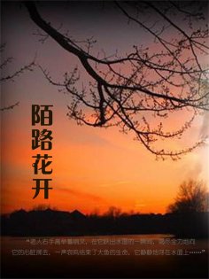 eBook: 陌路花开