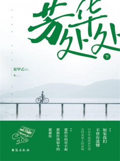 ebook: 芳华处处（下）