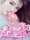 eBook: 贴身护花高手
