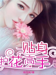 eBook: 贴身护花高手